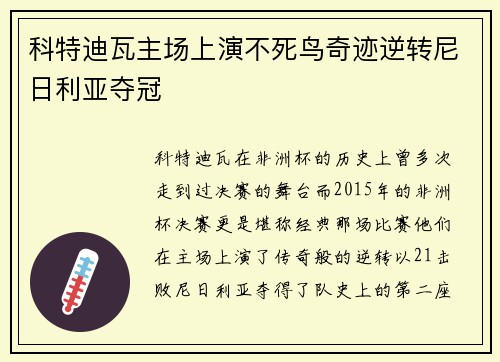 科特迪瓦主场上演不死鸟奇迹逆转尼日利亚夺冠